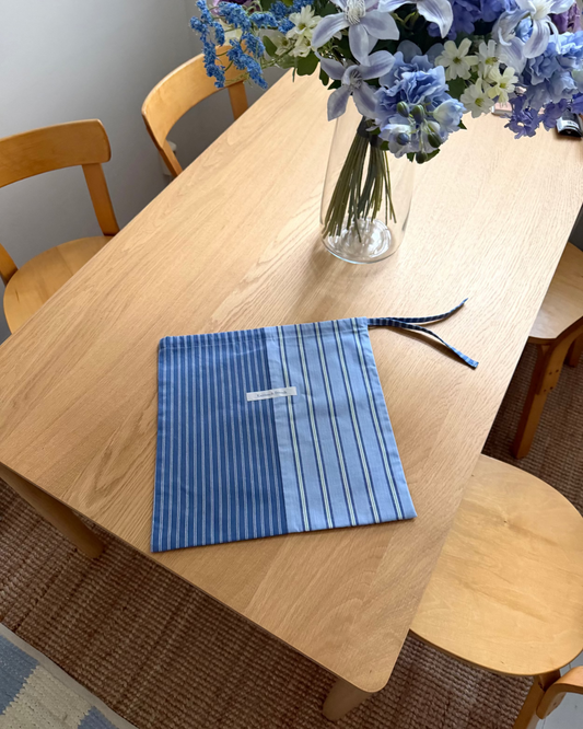 Project Bag - Blue and Striped